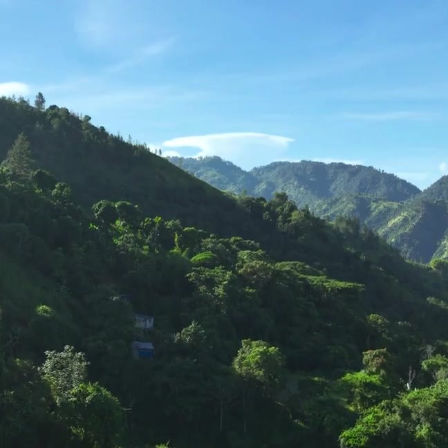 Green mountains in Jamaica